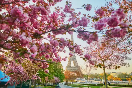 L'attraction #1 de Paris, La tour eifel