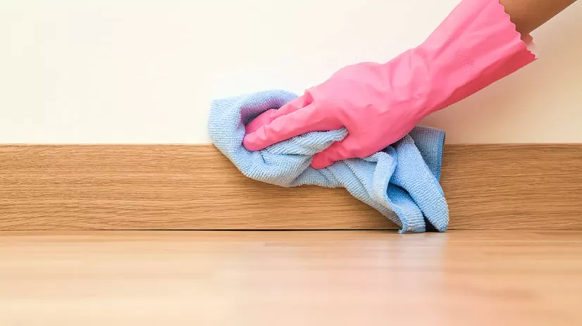Les Endroits Oubliés lors du ménage, L'importance de les nettoyer Preview